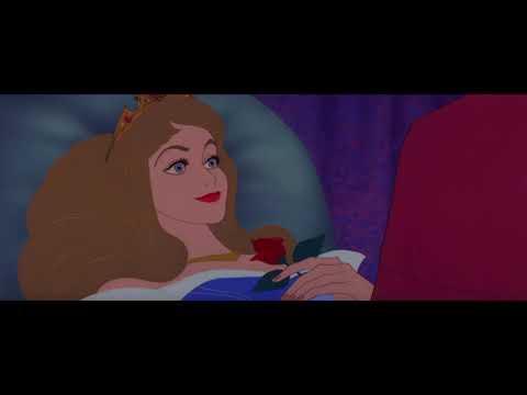 眠れる森の美女 最高の瞬間 17