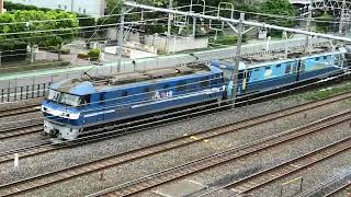 【フリー動画】EF210-117代走・EH200-24ムドの8764レ走行シーン