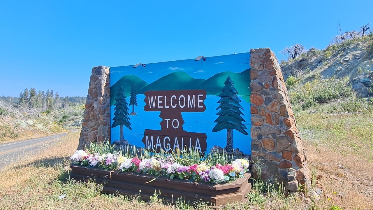 Magalia 5/2023 Butte flower bee YouTube