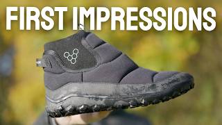 mqdefault.jpg