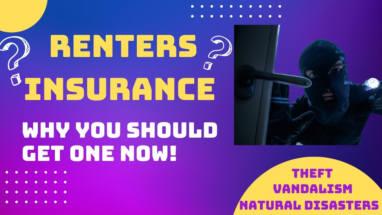 Is  Tenant Insurance Necessary? What To Consider When Doing A House Or Apartment Search