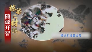 全球竞逐的新焦点！中国率先将钙钛矿发电玻璃推向量产！「栋梁之材」第五集 | CCTV财经
