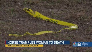 Winter Haven Woman Trampled To Death By Neighbors Horses She Regularly Fed Police