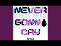 Never Gonna Cry Vibes Mix mp3