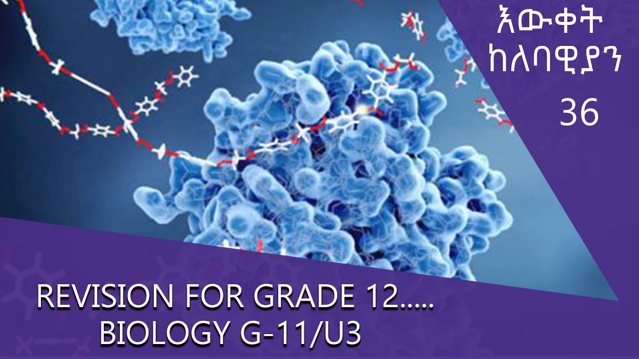 Revision for Grade 12... Biology G-11/U3 @ArtsTvWorld