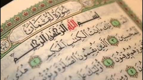 سورة لقمان للشيخ شعبان محمود عبدالله