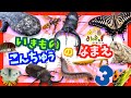 【子供向け 昆虫アニメ】昆虫や無脊椎動物など生き物の名前を覚えようpart3★ダンゴムシ、カブトムシ、カタツムリなど人気のいきもの18種が大集合!【こんちゅう 虫さん 生き物の知育動画】昆虫館