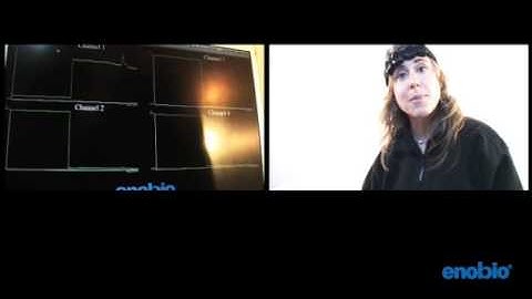 How to record EEG with the portable wireless Enobio system