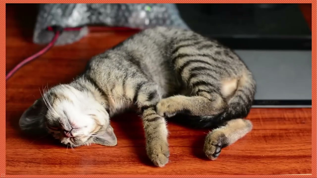 Com inserir videos en una presentació de Libreoffice Impress