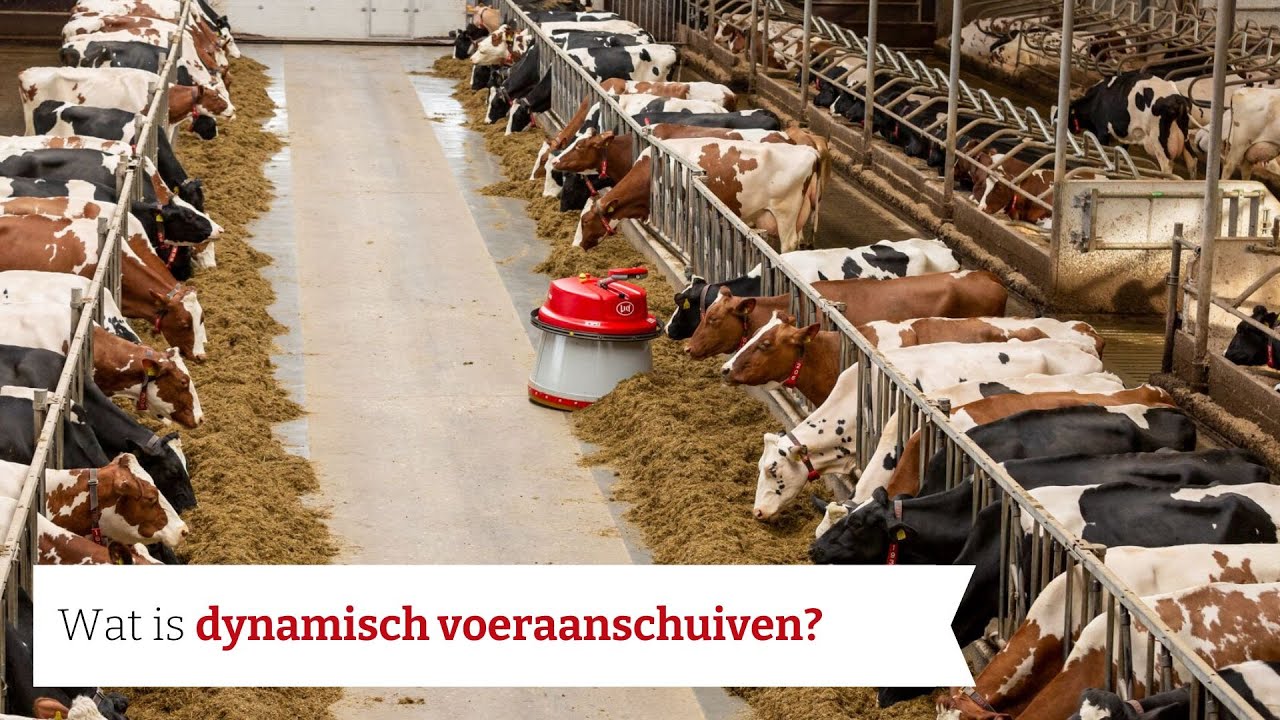 Wat is dynamisch voeraanschuiven? | Lely Juno