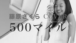 Sakura Fujiwara Topic Youtube