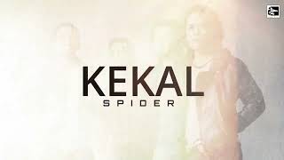 Spider  Kekal    