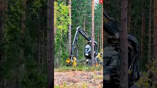 Forestry Harvester Work for Automatic Tree Cutting – up to 10 Trees/Minute #work