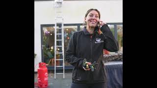 Lily Struthers Why Checkatrade Is Working For Me Checkatrade