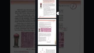 Cell new curriculum Class 9(3/4)