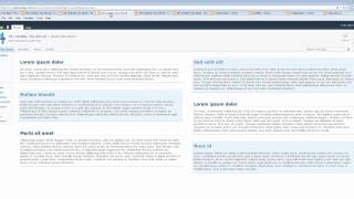 101 SharePoint Usability Tips - # 16 Lines and Shading