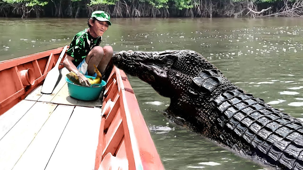 ANIMAIS QUE REENCONTRARAM SEUS DONOS APÓS ANOS