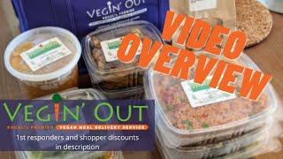 Vegin Out Review Overview v1