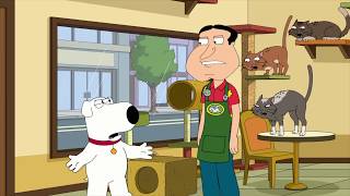 Family Guy - Quagmire's cat cafe