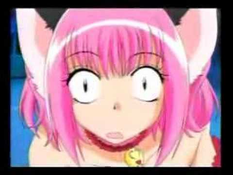 What's New Pussycat? What's New Pussycat?