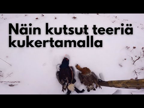 Video: Kuinka kutsut Olokun?