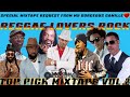 REGGAE LOVERS ROCK TOP PICKS VOL.2 BERES,SANCHEZ,JAH CURE,GHOST,DAVILLE,FREDDIE,WAYNE WONDER & MORE