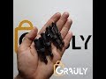 FastPlug - Plug Cutter Drill Bit (4 pcs) – Grauly.com FastPlug - Plug Cutter Drill Bit (4 pcs) – Grauly.com