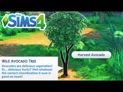 How To Find An Avocado Tree (Get Avocados) - The Sims 4