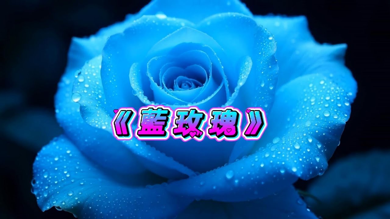 謝謝妳，擁抱了破碎的我。✨ 告白系單曲《藍玫瑰》：愛無需華麗承諾，只要妳在，就不會枯萎。#藍玫瑰 #BlueRose #奇蹟之愛 #靈魂伴侶 #StellarSeaMusic #唯一的美 #暖心推薦