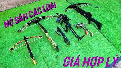 NỎ SĂN SỮ DỤNG BI SẮT VÀ MŨI TÊN