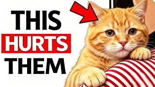 10 EVERYDAY Things That HURT Your Cat’s FEELINGS (STOP NOW)