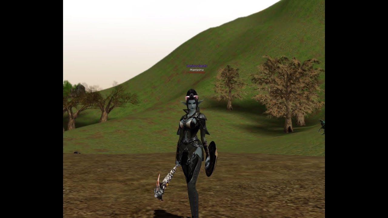 Dark Wizard Red Rock Ridge Grind  and Lvl Up.  /Lineage 2 Reborn Signature C4 .