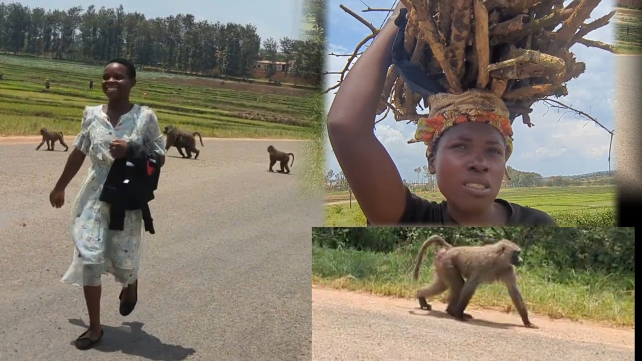 NYAGATARE: IBITERA BIREMBEJE ABAGORE