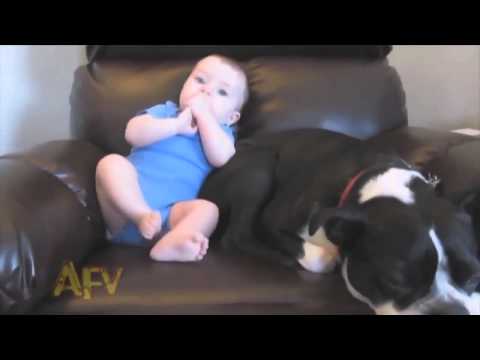 Жесть! Ребенок пукнул, аж собака сбежала! Смешные дети.