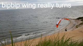 Speed Wing 52017