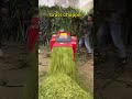 #machine#chaff cutter