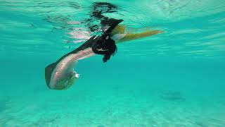 Cat Island Bahamas 2020, hawks nest