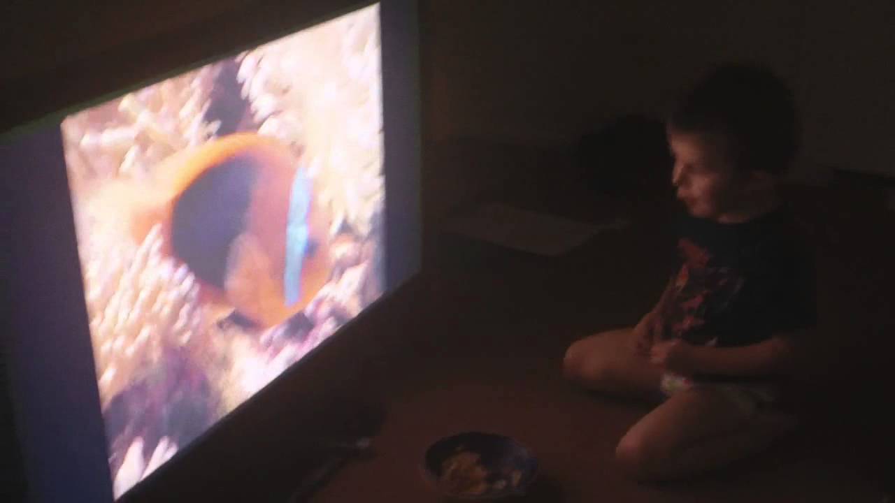 Lora Jensen 3 Day Potty Training Reviews