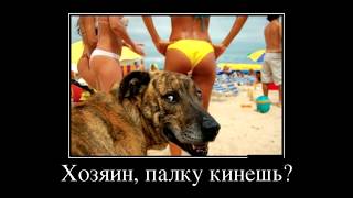 пошлые демотиваторы про, демотиваторы приколы, демотиваторы работа пошлые демотиваторы про, демотиваторы приколы, демотиваторы работа