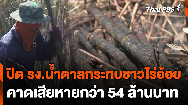 ปิดโรงงานน้ำตาลกระทบชาวไร่อ้อย จ.อุดรธานี คาดเสียหาย 54 ล้านบาท | จับตารอบทิศ | 17 ม.ค. 68