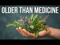 10 Ancient Herbs Science Proved Can Reverse Aging Naturally