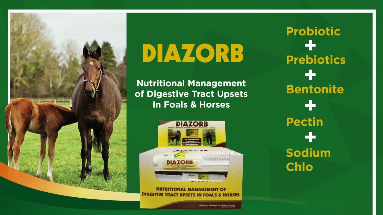 Diazorb - Nutritional Management of Digestive Tract Upsets In Foals and Horses