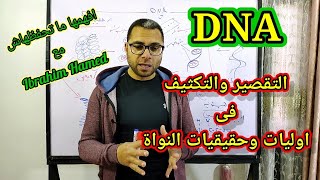 كيف يتم استيعاب DNA فى خلايا اوليات النواة وحقيقيات النواة