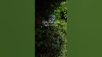 قرآن كريم بصوت الشيخ( ناصر القطامي )#راحة_نفسية #اكسبلور #المصحف