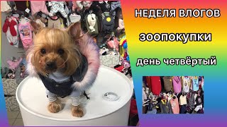 НЕДЕЛЯ ВЛОГОВ: ЗООПОКУПКИ / ДЕНЬ ЧЕТВЕРТЫЙ by Tiffany York 7,584 views 3 years ago 10 minutes, 29 seconds