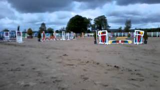 Cocos first day out jumping in barnadown