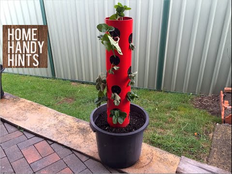 How to make a Strawberry - Herb Tower