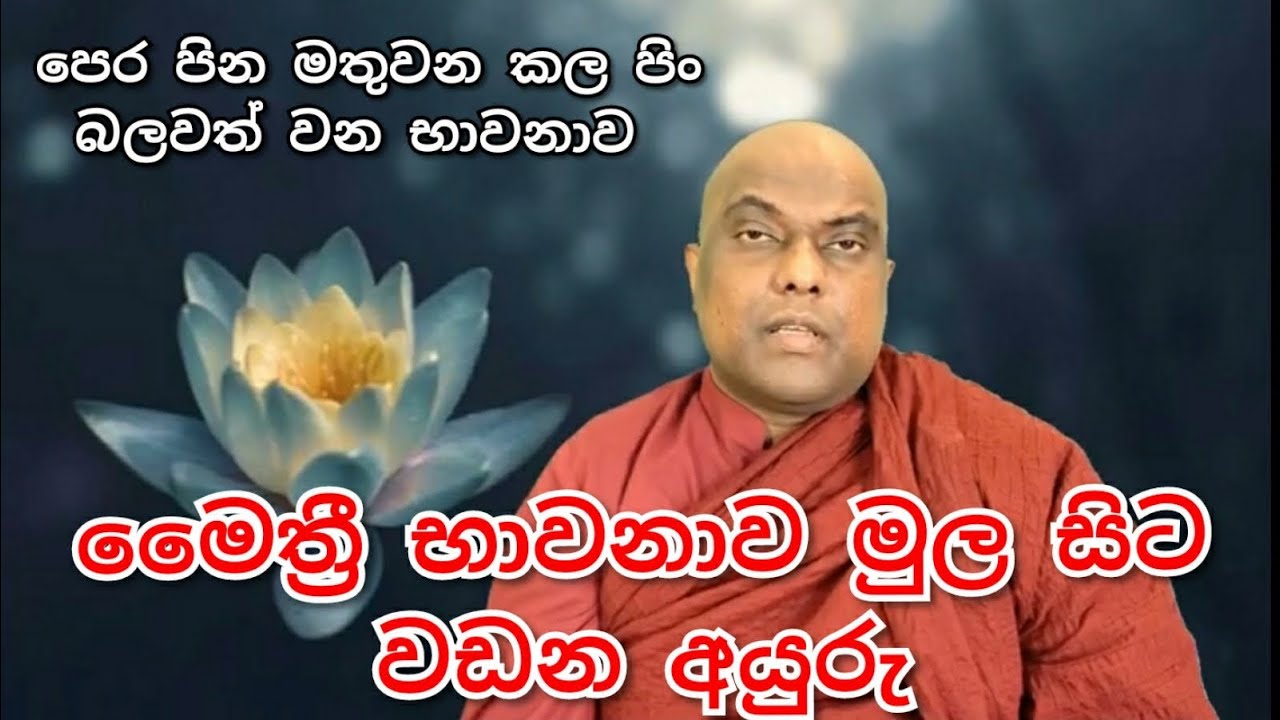 මෛත්‍රී භාවනාව වඩන අයුරු මුල සිට ඉතා සරලව, අග්‍ර පිං වැඩෙන භාවනාව. - Galigamuwe Gnanadeepa Thero