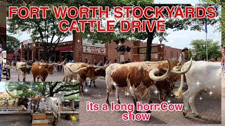 FORT WORTH STOCKYARDS CATTLE DRIVE SHOW ||PINAYRANCHER IN TEXAS