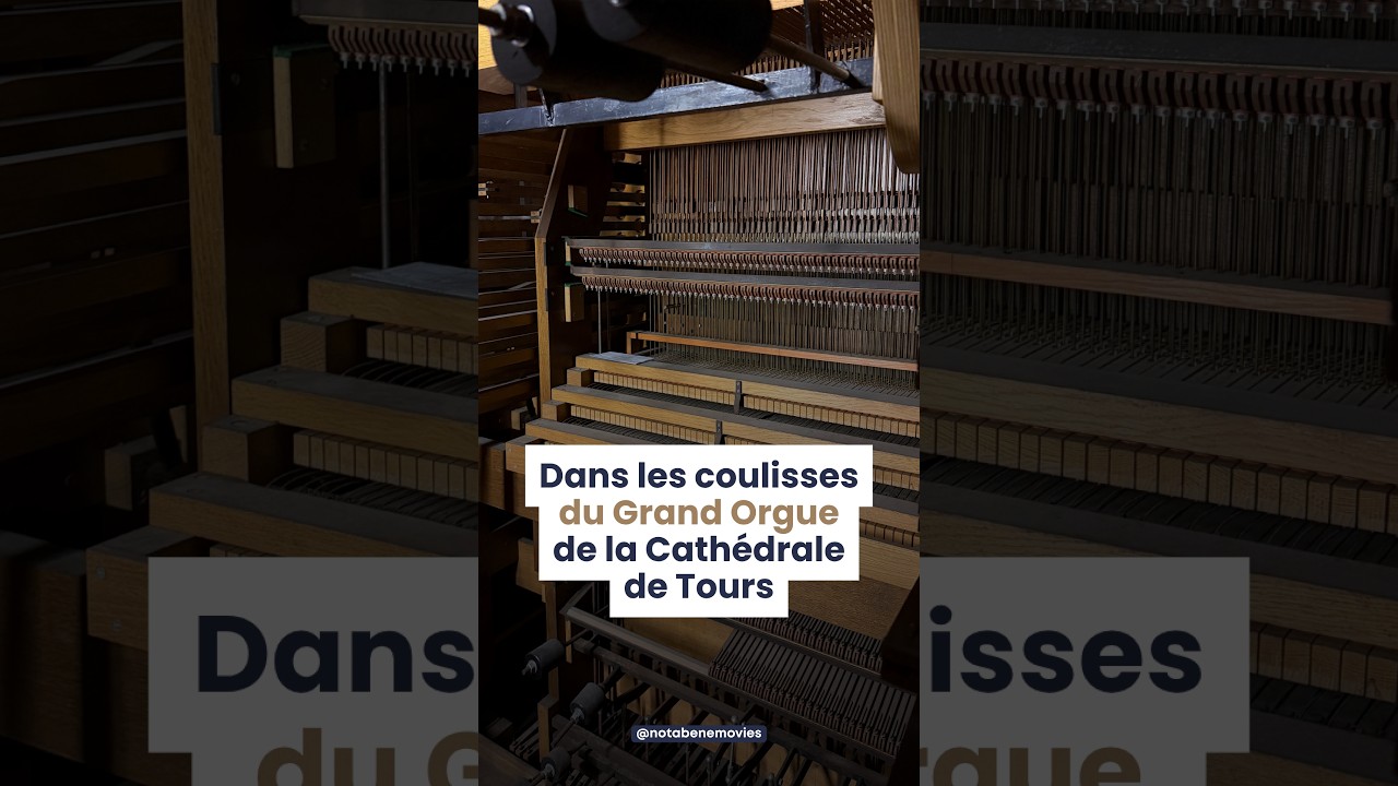 On entre dans un orgue !